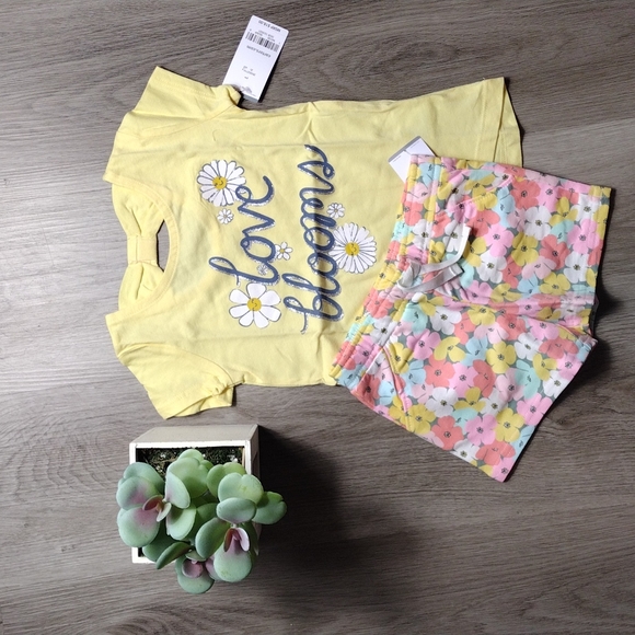 Carter's Other - Carter's Toddler Girl Flower Short Set Sz 2T